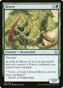 159-brawn