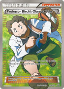 159-professorbirchsobservations-fullart