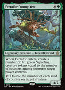 16-ferraforyoungyew