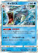16-gyarados