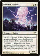 16-moonlitstrider