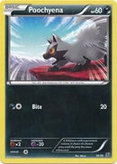 16-poochyena