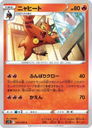 16-torracat