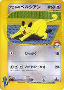 16-whitneyspersian