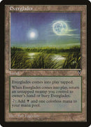 162-everglades