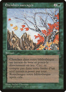 163-untamedwilds
