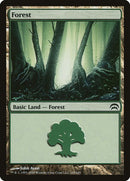 165-forest