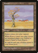165-karoo