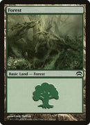166-forest
