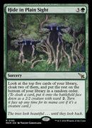 166-hideinplainsight