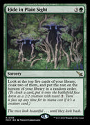 166p-hideinplainsight