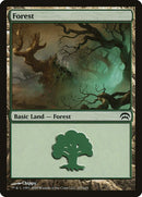 167-forest