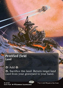 167-petrifiedfield