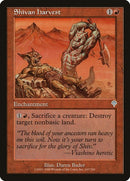 167-shivanharvest