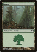 168-forest