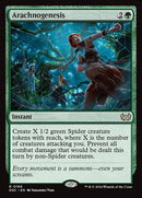 169-arachnogenesis