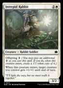 17-intrepidrabbit