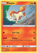 17-ponyta