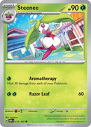 17-steenee