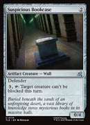 170-suspiciousbookcase