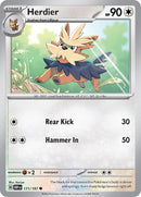 171-herdier