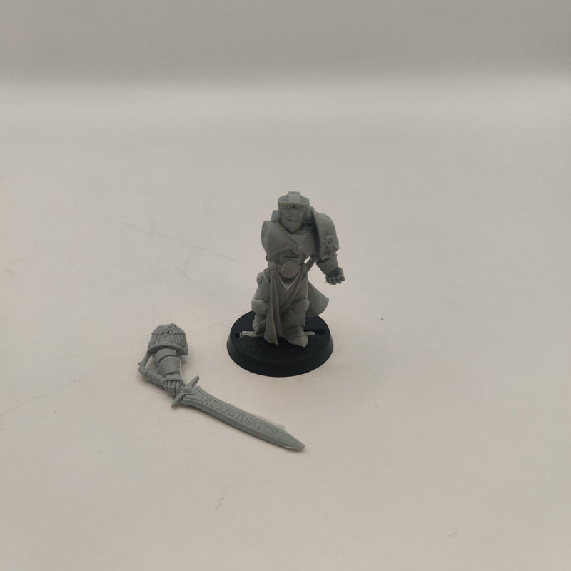 Warhammer 40k Black Templar Emperor's Champion Finecast OOP AJ058-0315