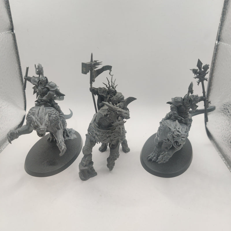 Age of Sigmar Vandus Hammerhand and Evocators on Dracolines AR026-0327