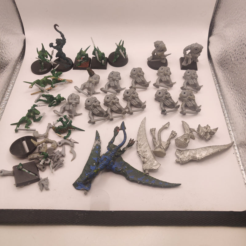 Warhammer Fantasy Lizardmen Bundle Teradon Skinks Saurus AD007-0404