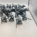 Warhammer The Old World Lizardmen Saurus Cold One Riders x8 AD003-0409