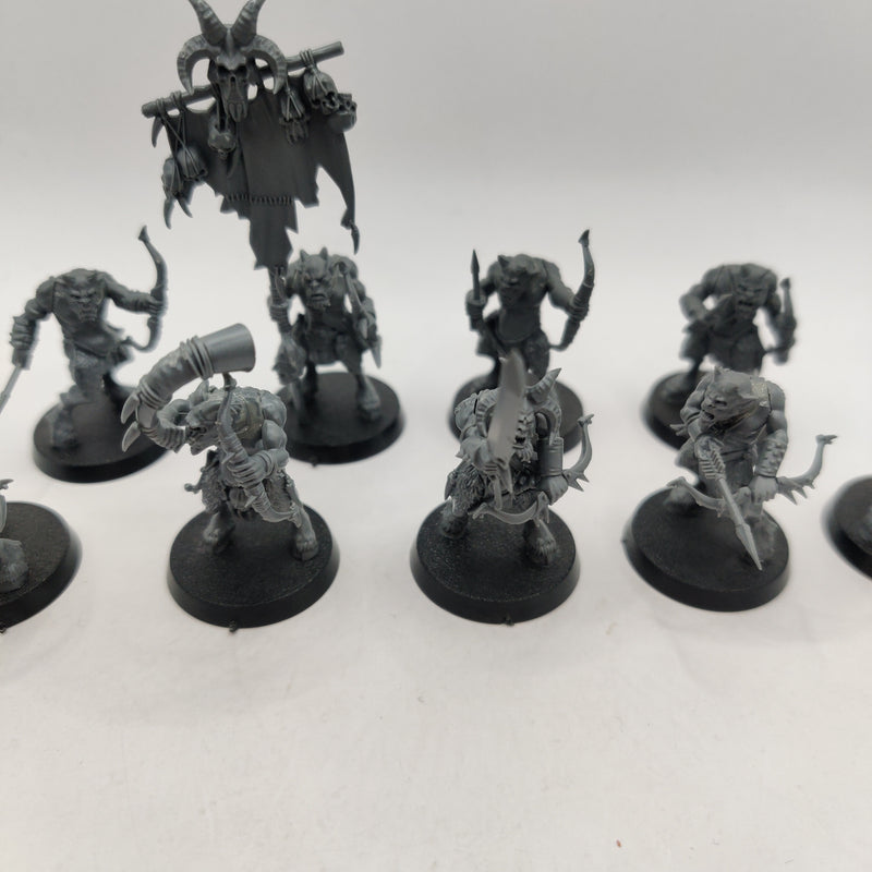 Warhammer Beasts of Chaos Ungor x9 and Bray Shaman AD052-0409