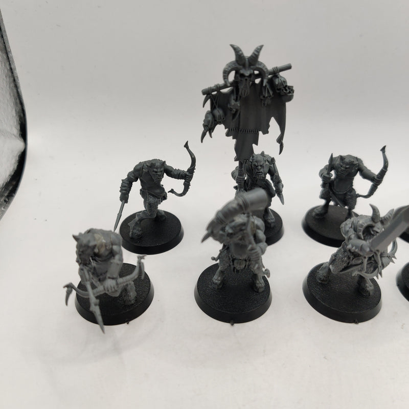 Warhammer Beasts of Chaos Ungor x9 and Bray Shaman AD052-0409