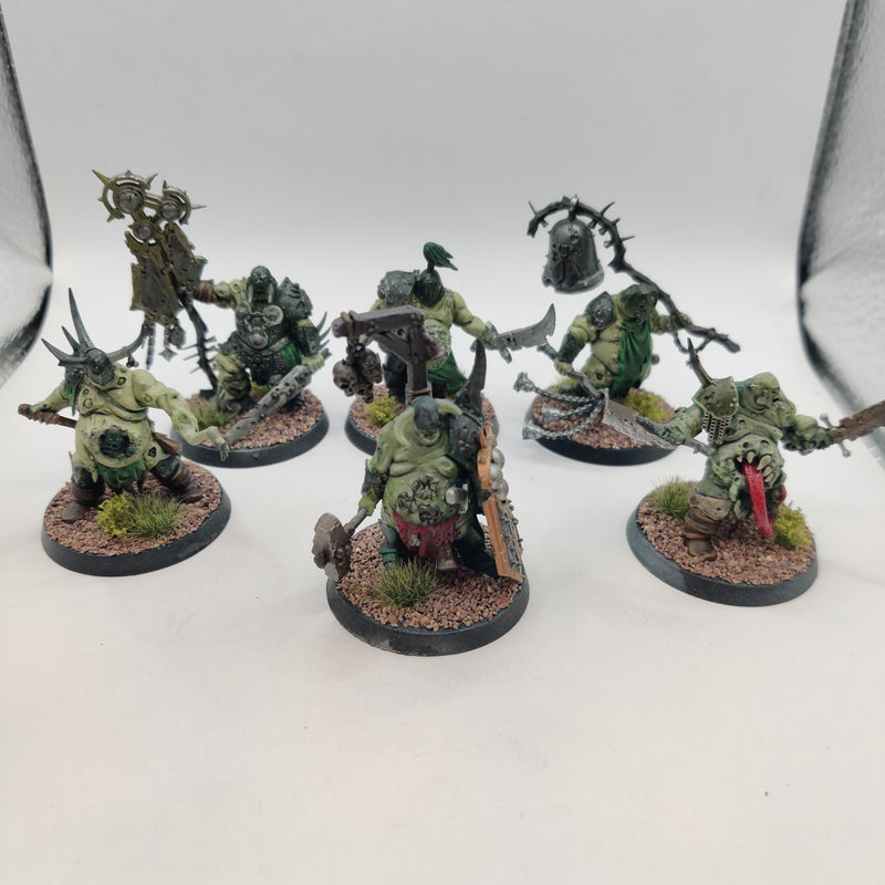 Age of Sigmar Maggotkin of Nurgle Putrid Blightkings and Lord of Blights Painted BA074-0409