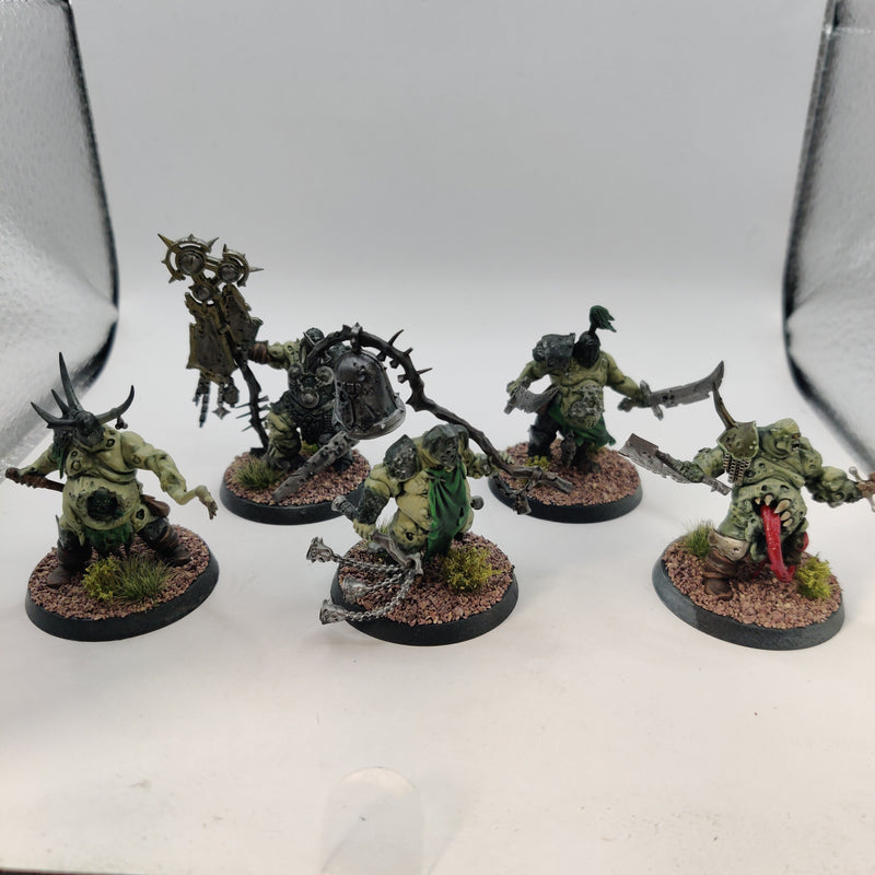 Age of Sigmar Maggotkin of Nurgle Putrid Blightkings and Lord of Blights Painted BA074-0409