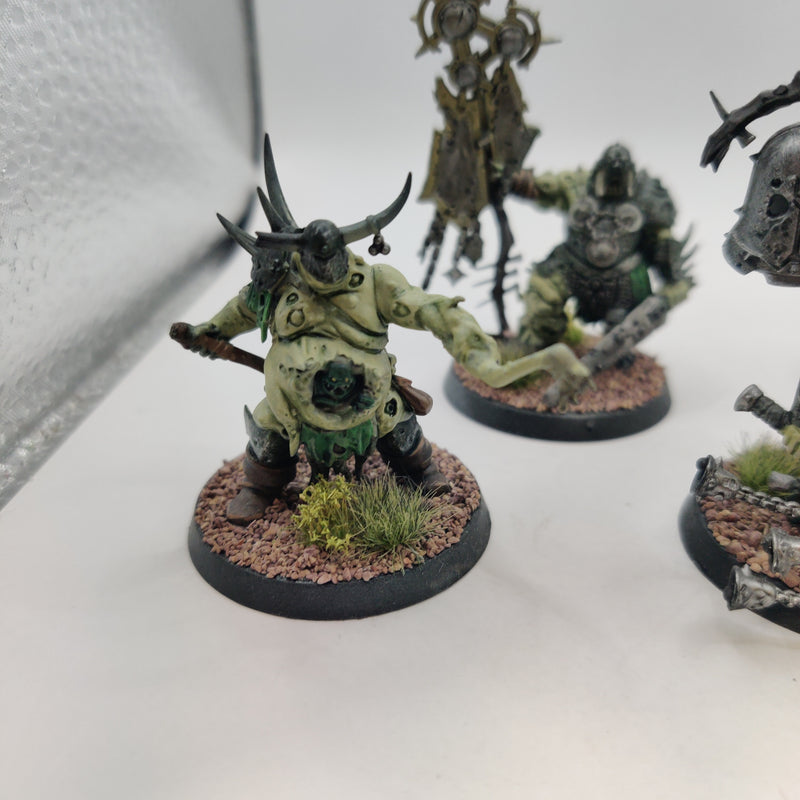 Age of Sigmar Maggotkin of Nurgle Putrid Blightkings and Lord of Blights Painted BA074-0409