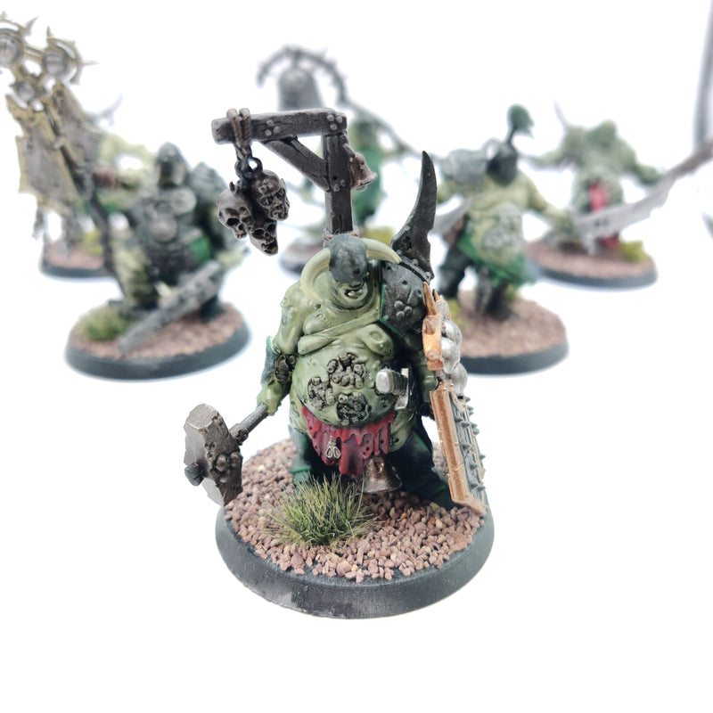 Age of Sigmar Maggotkin of Nurgle Putrid Blightkings and Lord of Blights Painted BA074-0409