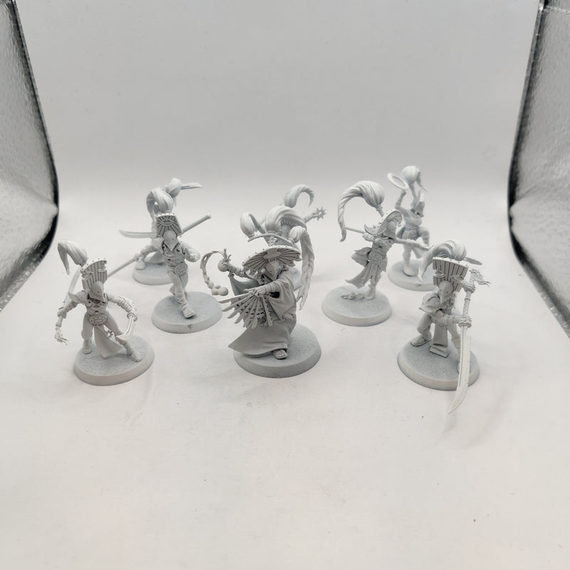 Age of Sigmar Warcry Cypher Lords Warband AK010-0409