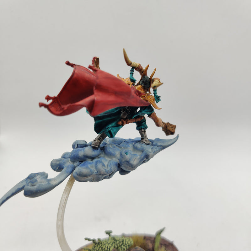 Age of Sigmar Hurukan Wind Mage and Scinari Loreseeker AA058-0409