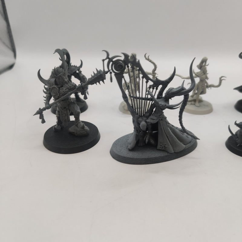 Age of Sigmar Hedonites of Slaanesh Bundle - Infernal Enrapturess, Shardspeaker, Lord of Pain + more AT210-0411