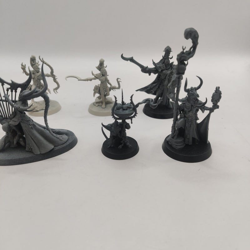 Age of Sigmar Hedonites of Slaanesh Bundle - Infernal Enrapturess, Shardspeaker, Lord of Pain + more AT210-0411