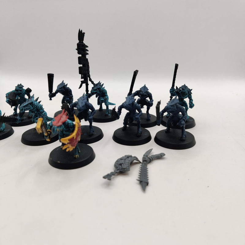 Age of Sigmar Seraphon Saurus Warriors x11 AZ157-0411