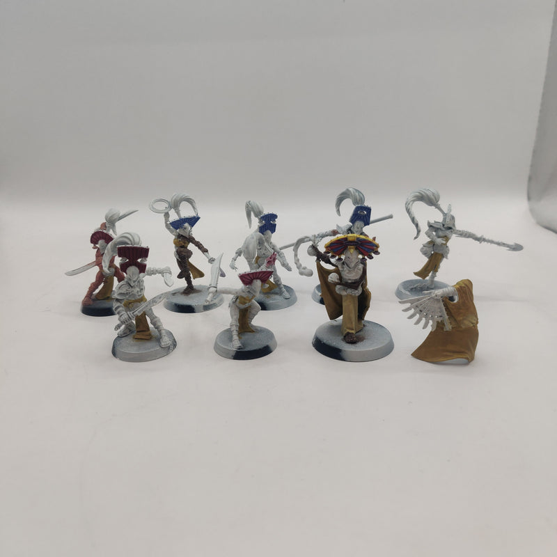Age of Sigmar Warcry Cypher Lords Warband BA073