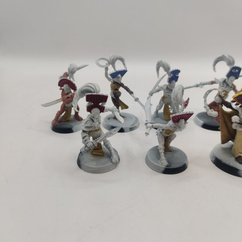 Age of Sigmar Warcry Cypher Lords Warband BA073