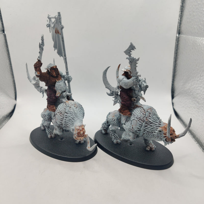 Age of Sigmar Beastclaw Raiders Mournfang Pack AX074