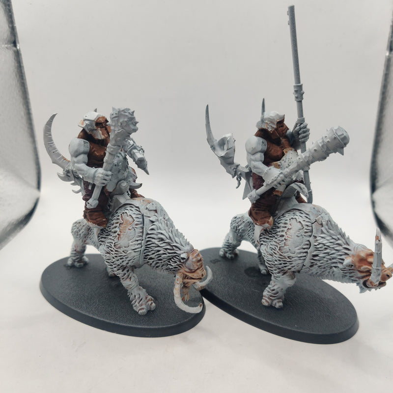 Age of Sigmar Beastclaw Raiders Mournfang Pack AX074
