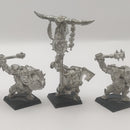Warhammer Fantasy Black Orc Command Metal AZ189