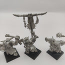 Warhammer Fantasy Black Orc Command Metal AZ189