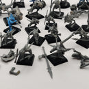 Warhammer Fantasy Lizardmen Saurus Warriors x12 and Skinks x19 AT194