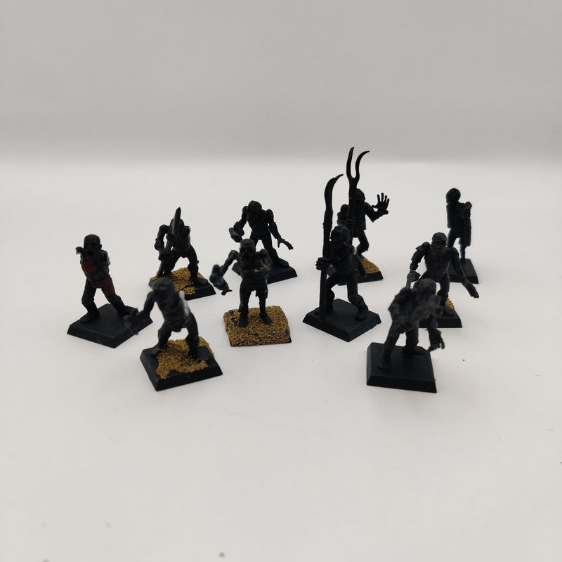 Warhammer Fantasy Vampire Counts Zombies x10 Plastic AF045