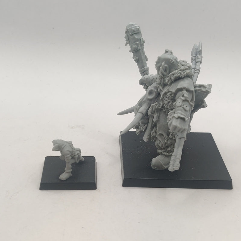 Age of Sigmar / Old World Ogor Mawtribes Icebrow Hunter - Finecast AI256