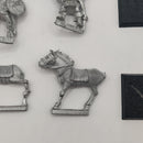 Citadel Middle Earth Rohirrim ME23 AI188